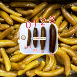 Çubuk -0- Salatalık Turşusu (5 lt)